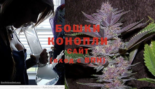 бошки Надым