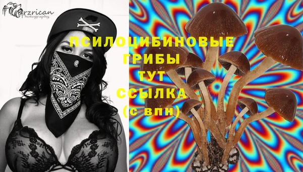 бошки Надым